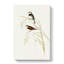 Spotted-Sided Finch by Elizabeth Gould - Wrapped Canvas-55318793