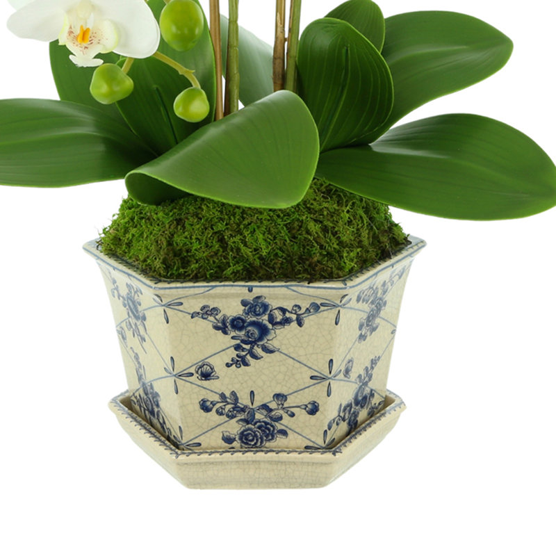 Orchid Faux Floral in Pot