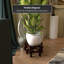 Fishbowl Stand-803469891