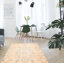 Odalyz One-of-a-Kind 3'11" x 6'11" 2000s Rectangle Wool Area Rug in Ivory