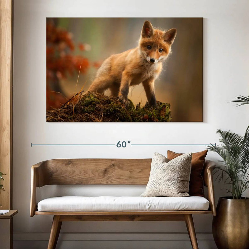 Brampt bébé forêt renard