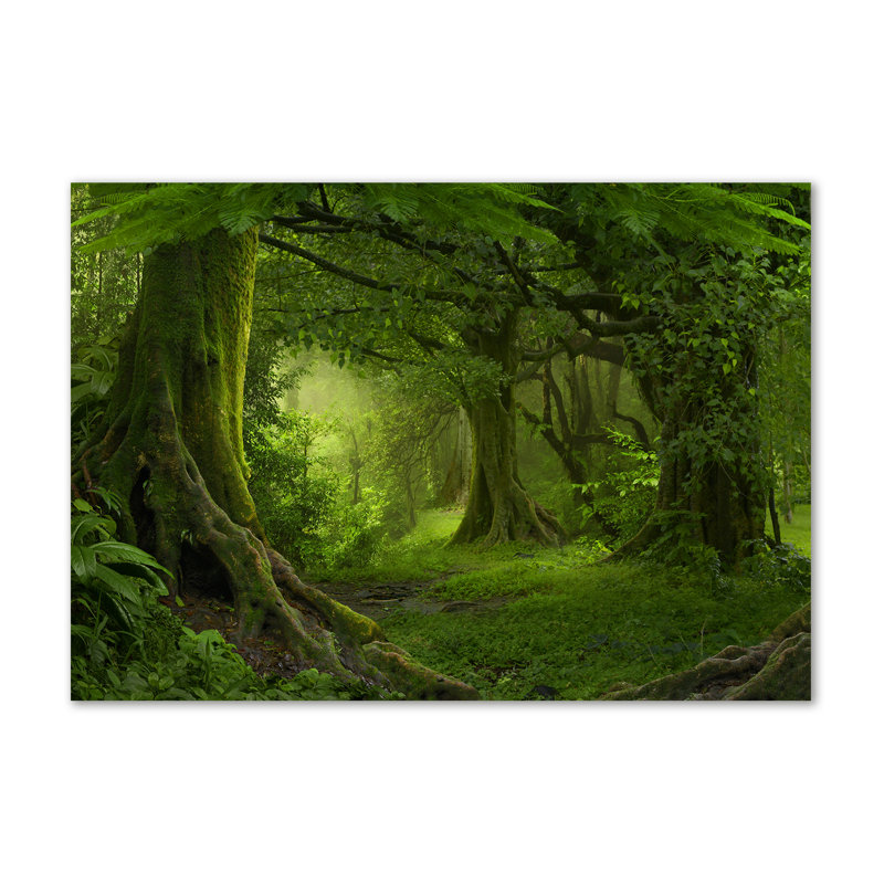 Tropical Jungle - Wrapped Canvas Print