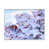 Toile avec cadre flottant blanc