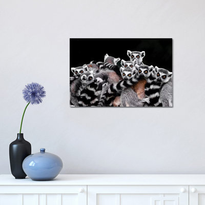 Lemurs 1 Piece Wrapped Canvas Wall Art