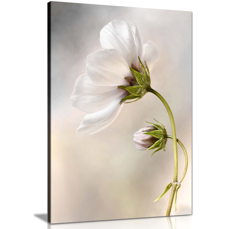 White Cosmos Flower - Wrapped Canvas Painting, 61cm H x 41cm W