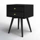 Williams 2-Drawer Mini Nightstand