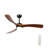 52 Inch Ceiling Fan Light With 6 Speed Remote Reversible Energy-saving DC Motor