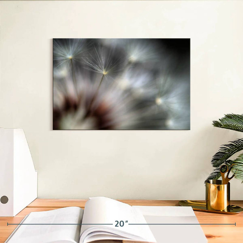 Feux d'artifice Harnek Dandelion, H 8 po x l 12 po