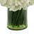 Hydrangeas in Glass Vase with Grass