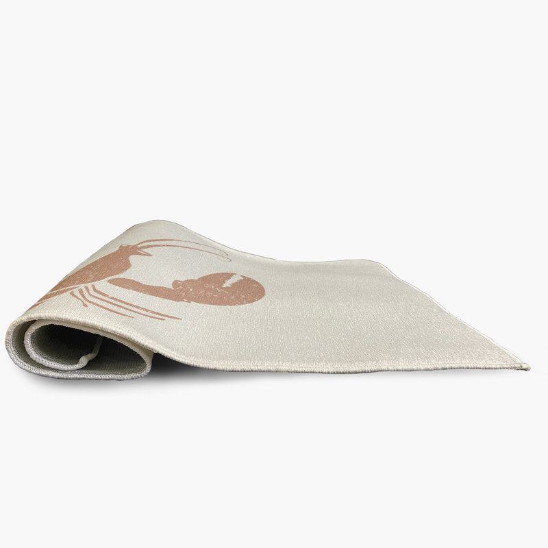Tapis intérieur / extérieur tissé à plat en mauve et blanc Dasaki, Rectangle 2 pi x 3 pi