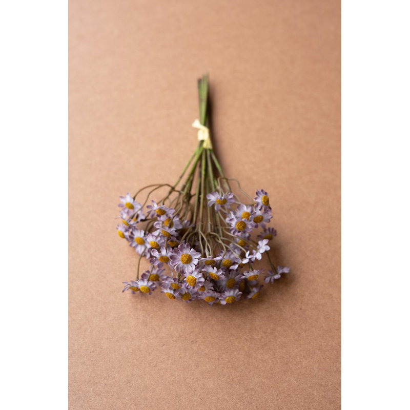 CHAMOMILE BUNDLE (6 STEMS) - LAVENDER