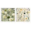 Thornaby - Ensemble de 2 collages carrés floral et botanique-101861409-101861406
