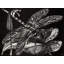«Dragonfly» par M.C.Escher, toile tendue avec châssis-322748280