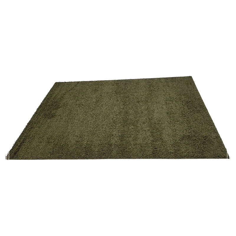 Tapis de salon, tapis de salon, tapis 5 x 7, vert hirsute
