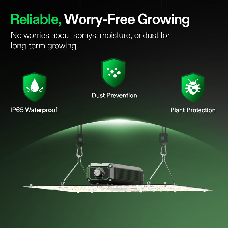 LumaLight 150W DEL à intensité variable pour plante à spectre complet
