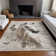 Machine Washable Indoor/Outdoor Cinead ACN1719 Ivory Rug