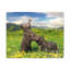 Wall Art on Canvas-441172420