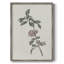 Impression florale vintage encadrée CLXIV - bois massif-1822869839