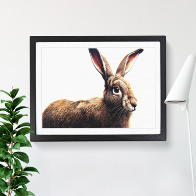 XH1022-7272X Rabbit Portrait - Single Picture Frame Print