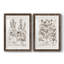 Sépia Besler Botanicals III - reproduction encadrée de qualité supérieure - prête à être accrochée-1132793573-1132794137