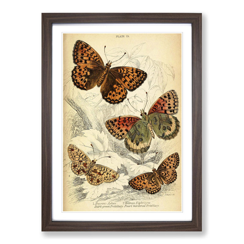 Single Picture Frame Painting, Walnut
