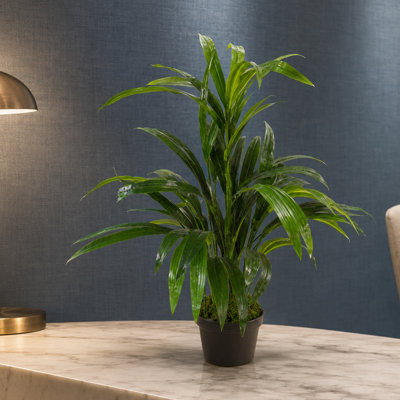 65cm Faux Plant in Pot Liner