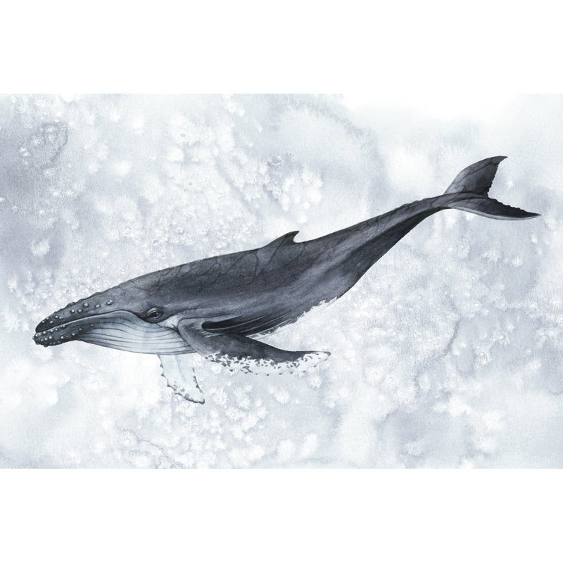 Deep Diver I by Grace Popp - Print on Canvas, 81 cm H x 122 cm W, Black Floater Framed