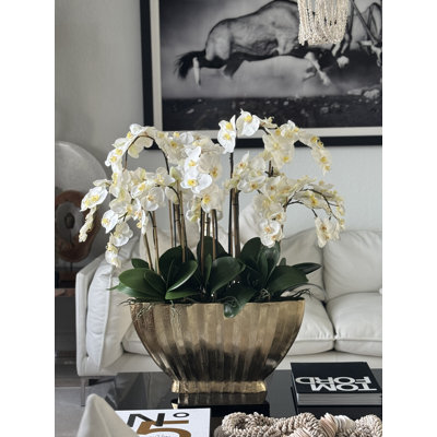 Vivien Gold Vase With Phaleanopsis Orchids