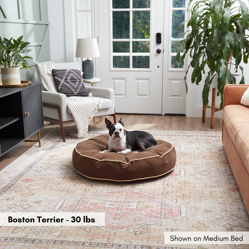 Lit pour chien Buckhead, Cacao, Moyen (l 36 po x P 36 po x H 6 po)