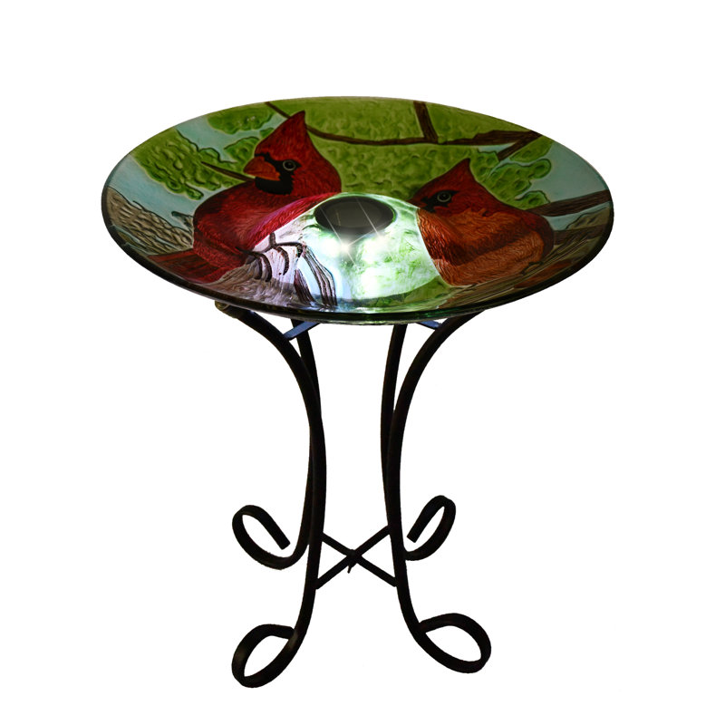 Solar LED Floral Cardinal Glass Bird Bath with Stand - Cardinal