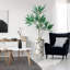 66 plantes-97701031