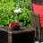 Nagey 2 - Person Patio Conversation Sets with Cushions-1078106040