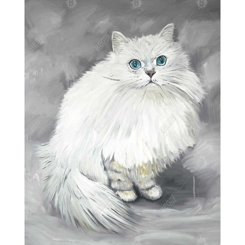 " Chinchilla Persian Cat "