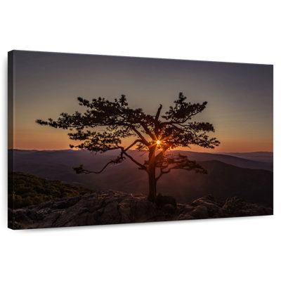 Harnek Blue Ridge Sunset