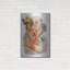 «Golden Retriever With Ghost Image» par Barbara Keith-484319951