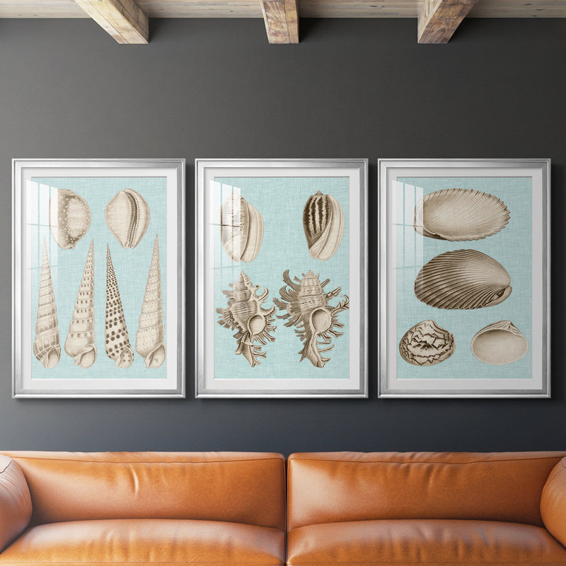Sépia et coquillages aqua VI - reproduction encadrée sur mesure de qualité supérieure mate - 3 pièces, H 21 po x l 30 po