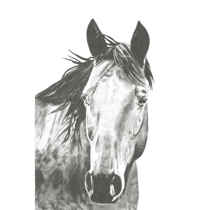 «Wildlife Snapshot: Horse I», reproduction d'art sur toile, H 12 po x l 8 po