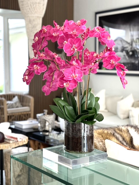 Blooming Orchid in Vase, Pink