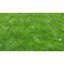 Chicken Wire Fence with PVC Coating-65300101-65275820
