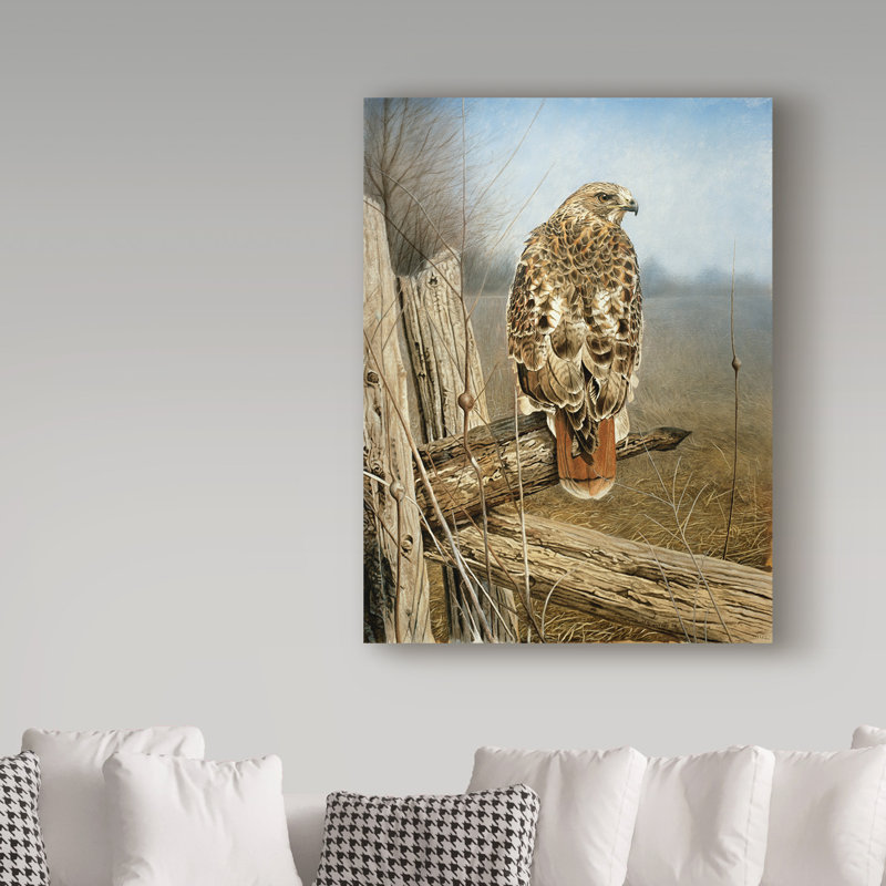 «Red Tailed Hawk» par Armstrong, impression sur toile tendue, H 47 po x l 35 po x P 2 po