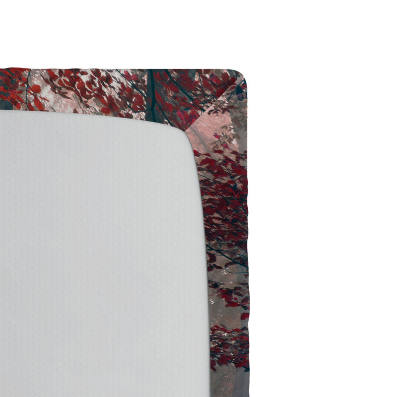 Ensemble de draps-housse Ambesonne Forest, Drap-housse de taille simple