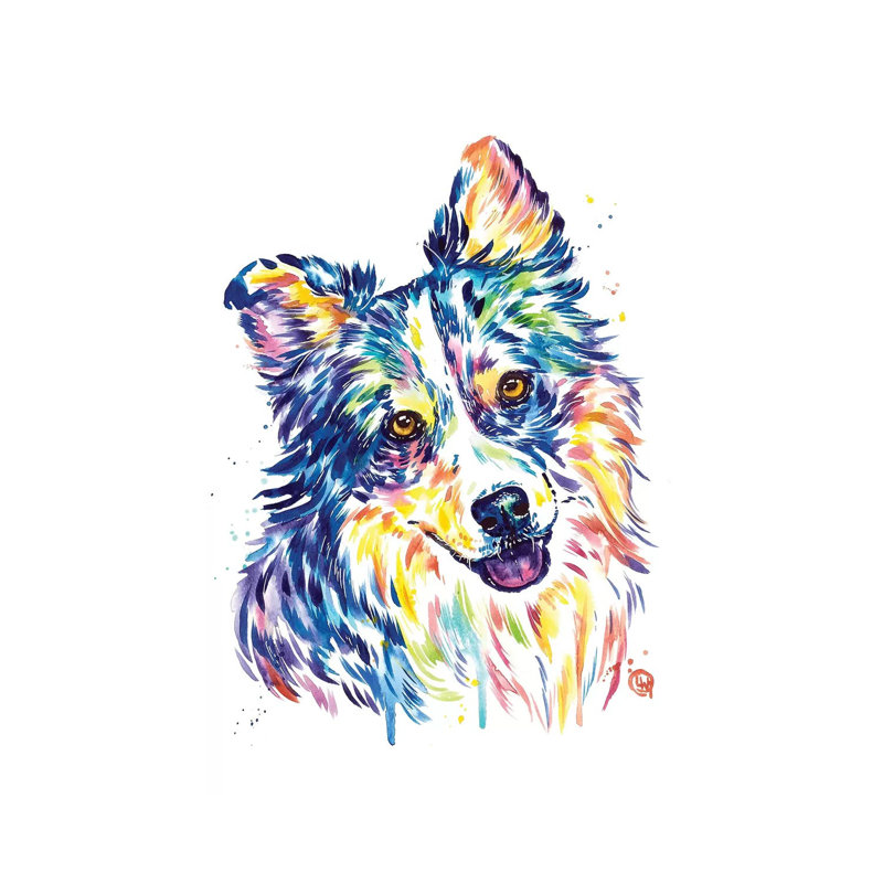Australian Shepherd by Lisa Whitehouse - Wrapped Canvas Gallery-Wrapped Canvas Giclée, 66.04 cm H x 45.72 cm W