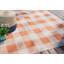 Outdoor Modern Boho Burnt Orange Checkered Rug-87976748