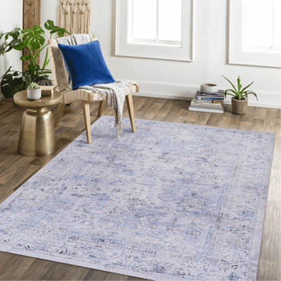 Blue Washable Rug Doormat Rug (Blue)