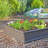 Raised Garden Bed