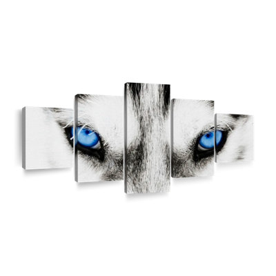 " Husky's Eyes " 5 - Pieces