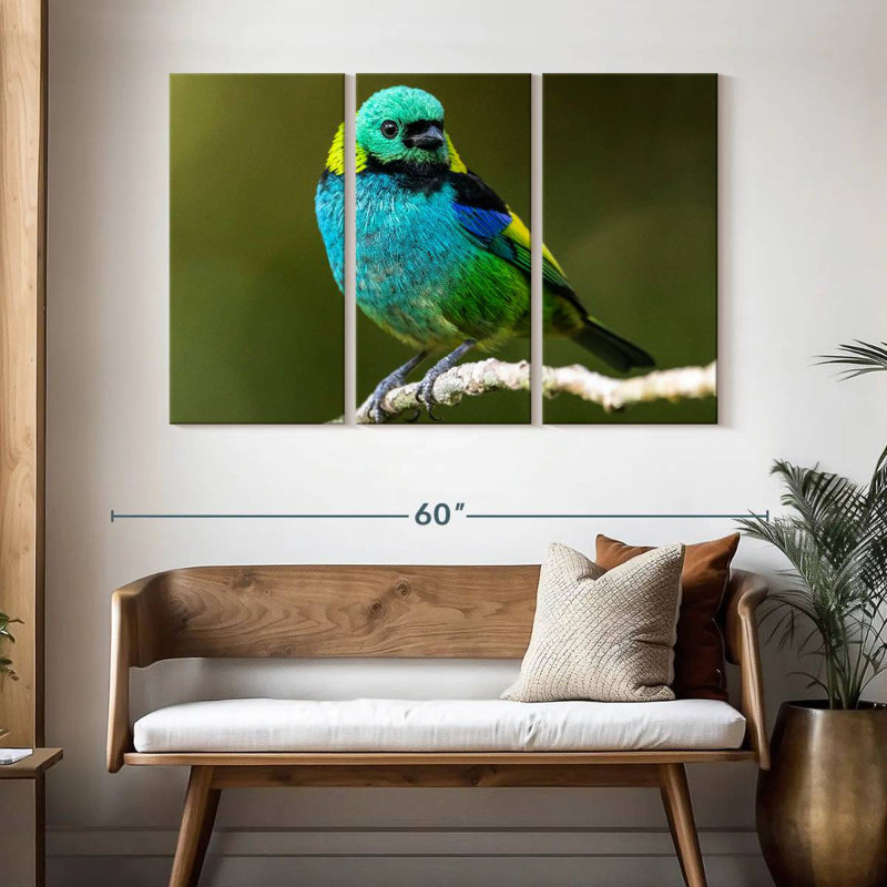 Brampt Green Headed Tanager, 32" H x 50" W