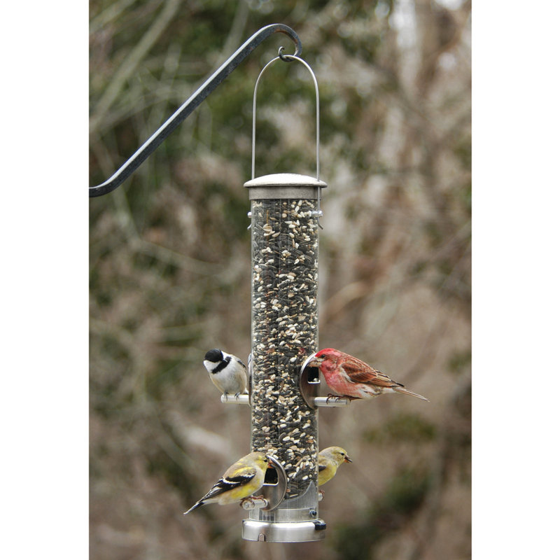 Metal Hanging Tube Bird Feeder, Medium, Brushed Nickle