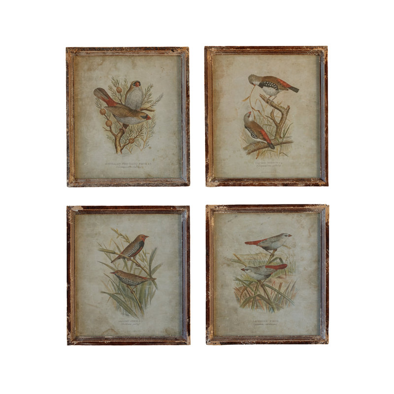 «Vintage Birds in the Field», reproduction d'art encadrée - ensemble de 4