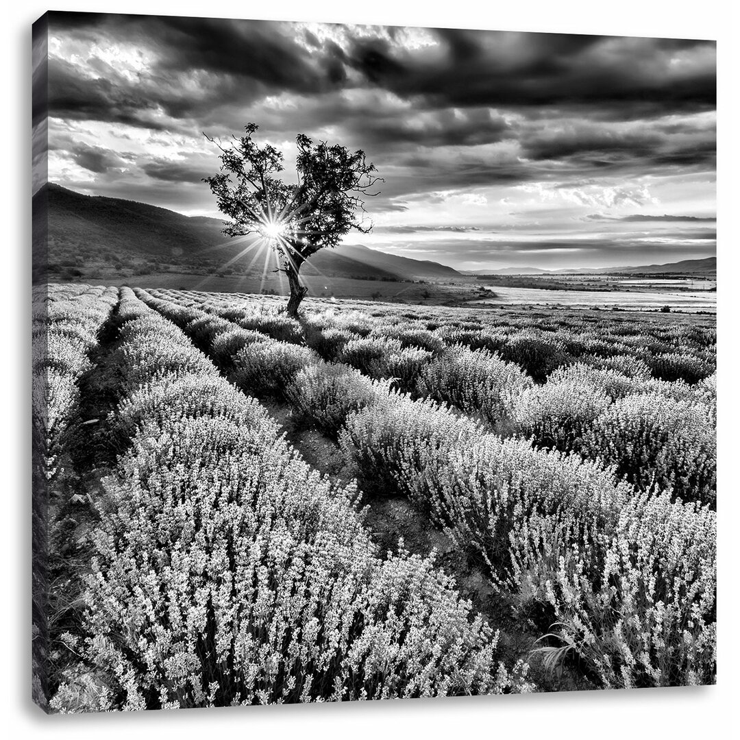 Leinwandbild Traumhafte Lavendel Provence mit einsamen Baum